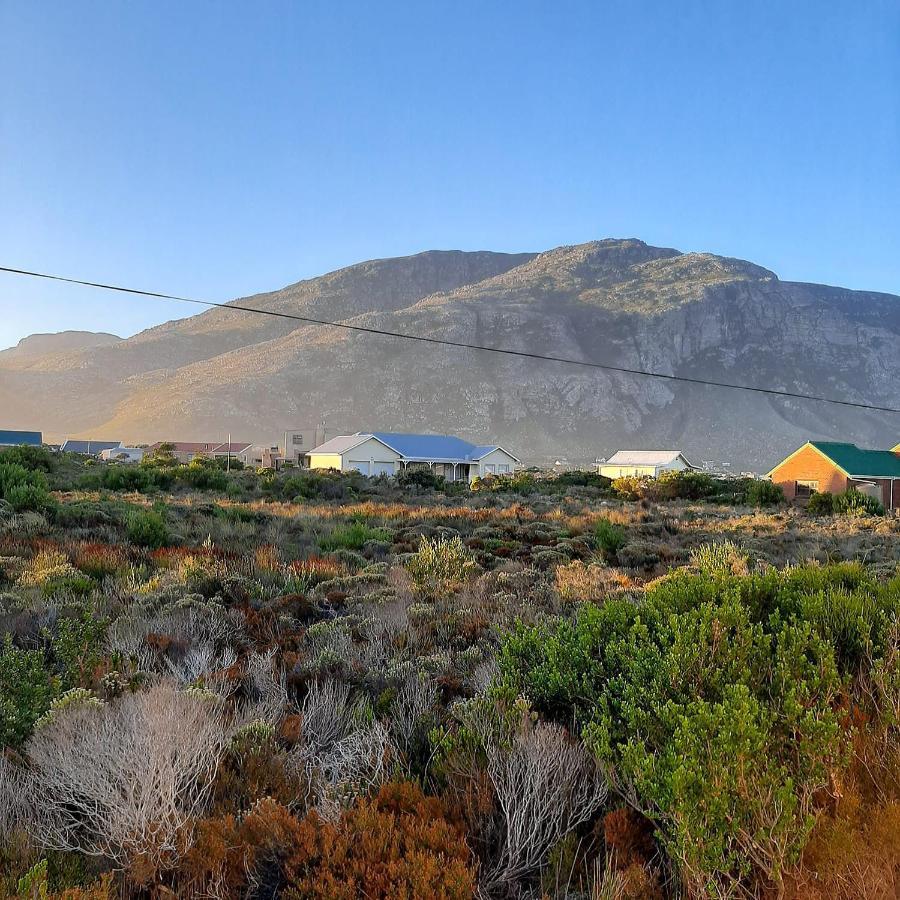 Brandys Beach House Bettyʼs Bay Extérieur photo