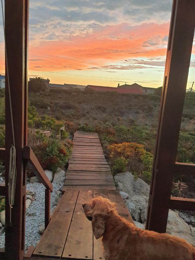 Brandys Beach House Bettyʼs Bay Extérieur photo