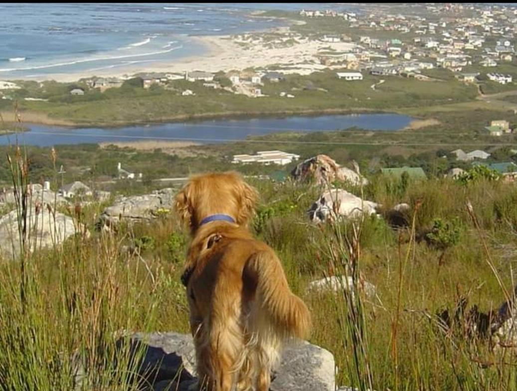 Brandys Beach House Bettyʼs Bay Extérieur photo
