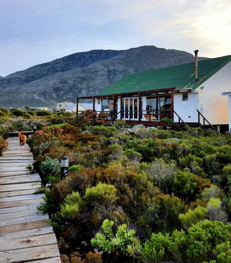 Brandys Beach House Bettyʼs Bay Extérieur photo