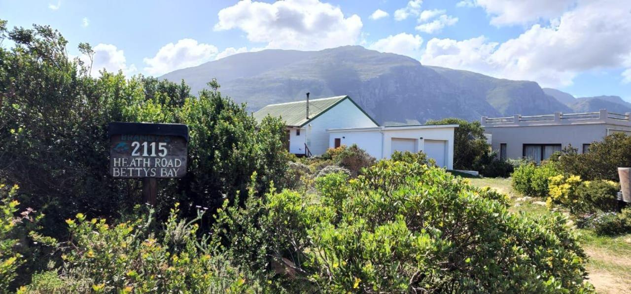 Brandys Beach House Bettyʼs Bay Extérieur photo