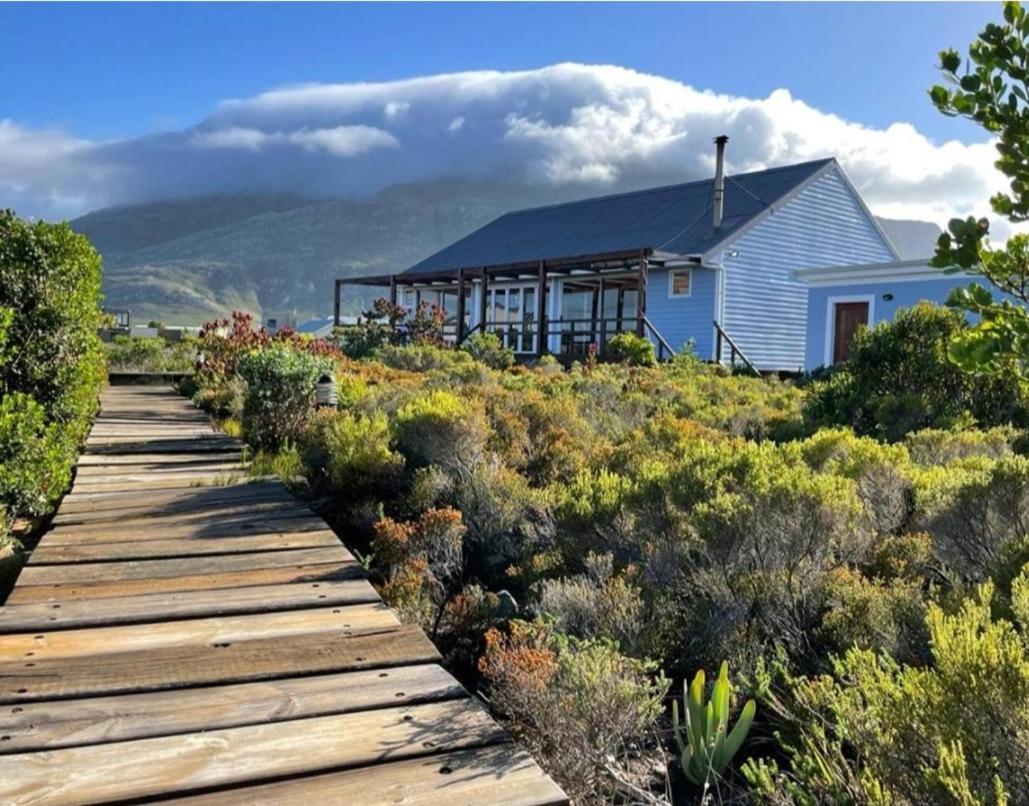 Brandys Beach House Bettyʼs Bay Extérieur photo