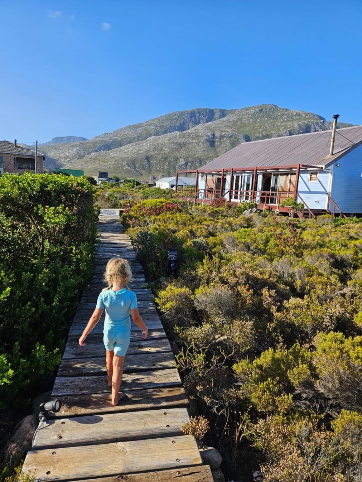 Brandys Beach House Bettyʼs Bay Extérieur photo