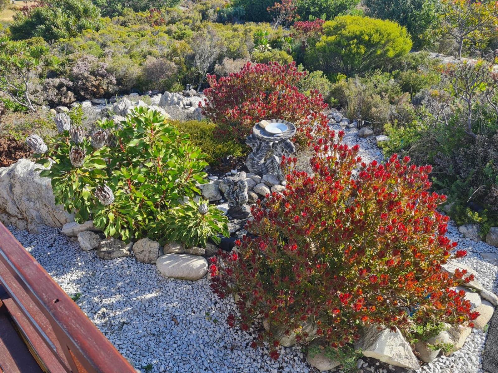 Brandys Beach House Bettyʼs Bay Extérieur photo
